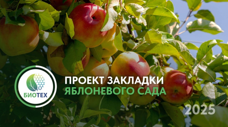 «Яблоневый сад «Биотех» - Социальному проекту быть!