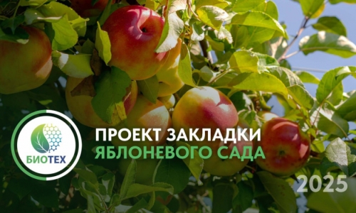 «Яблоневый сад «Биотех» - Социальному проекту быть!